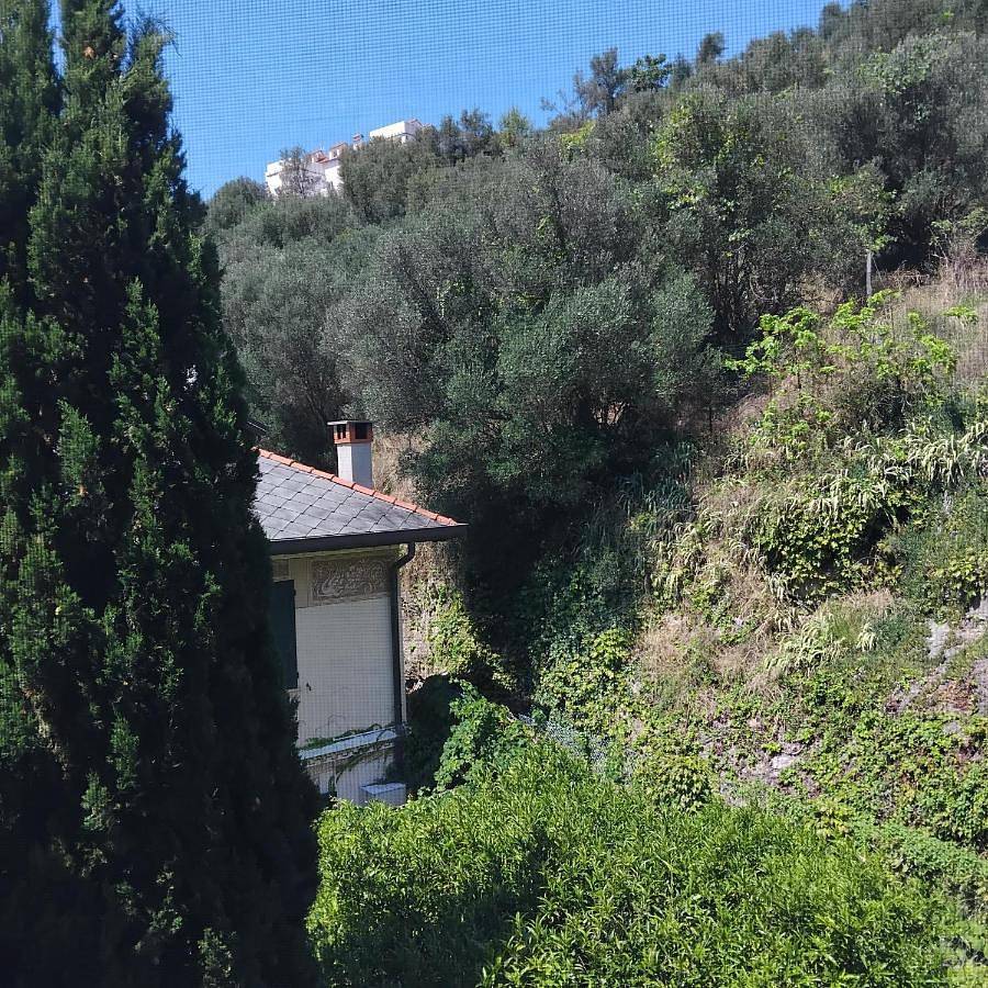 Camera vacanza in Bagni Ligure, Celle Ligure