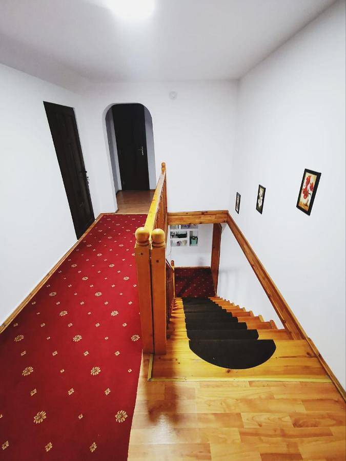 Maison d’hôte pour 2 personnes, avec jardin et vue en Roumanie - 3