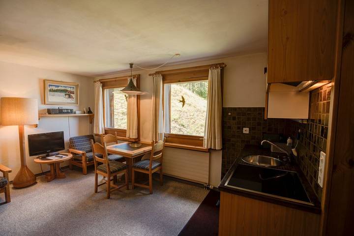 Ferienwohnung für 2 Personen, mit Seeblick und Sauna sowie Garten in Silvaplana - 4