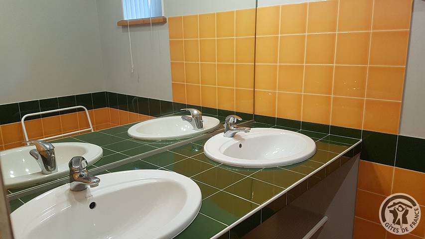 Gîte pour 5 personnes, avec jardin, animaux acceptés à Thurins - 4