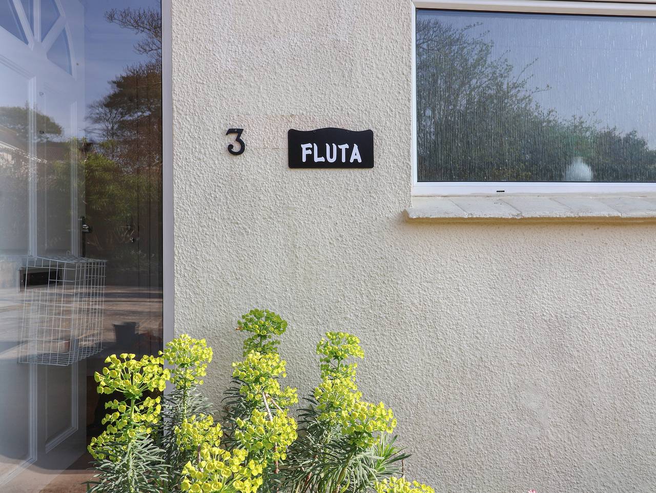 Fluta in Seaton, Devon