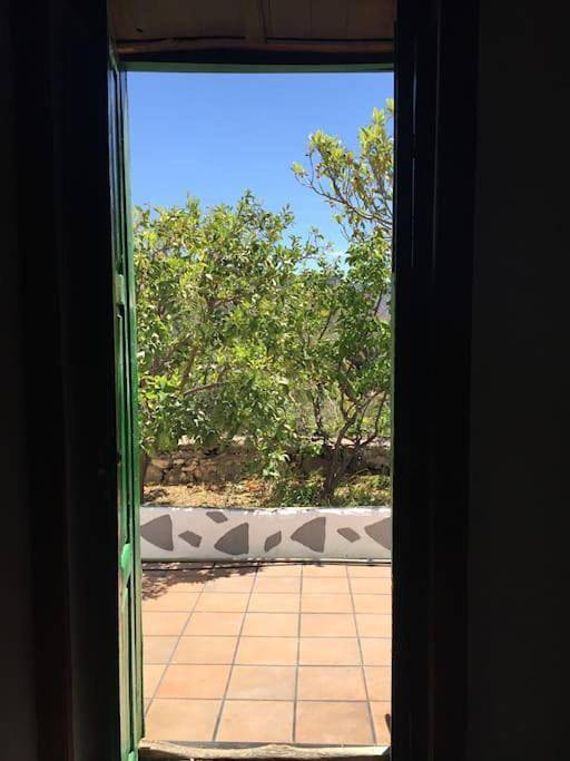 Chalet para 14 personas, con piscina además de jardín y jacuzzi en Gran Canaria - 2