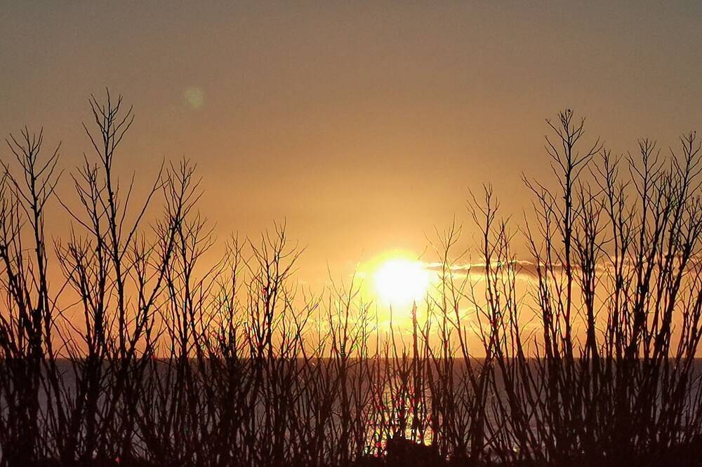 Entire apartment, T3 - Ocean view, waterfront, garden and sea-view terrace, free parking. in Batz-sur-Mer, Côte d'Amour