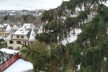 Appartement De Vacances pour 3 Personnes dans Massy, Essonne, Photo 2