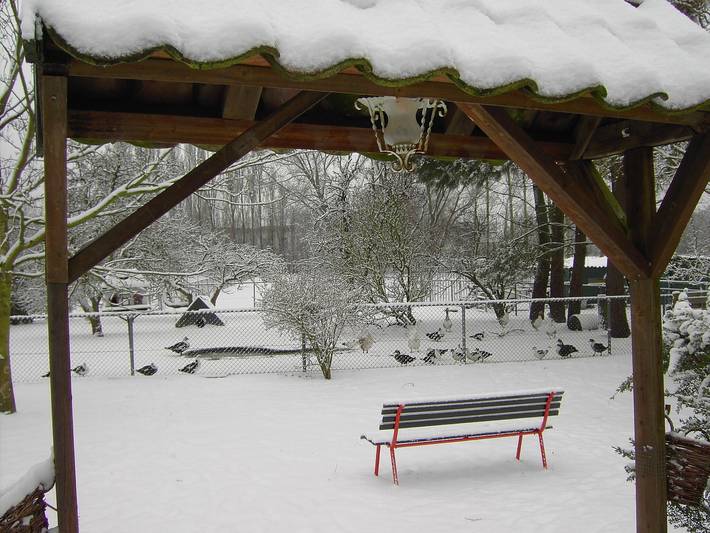 Ferienhaus für 4 Personen, mit Garten und Terrasse in Nordbrabant - 3