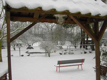 Maison De Vacances pour 4 Personnes dans Berg-op-Zoom, Brabant-Septentrional, Photo 2
