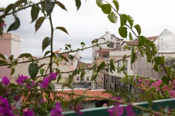 Vakantieappartement voor 4 Personen in Lapa, Estrela, Afbeelding 3