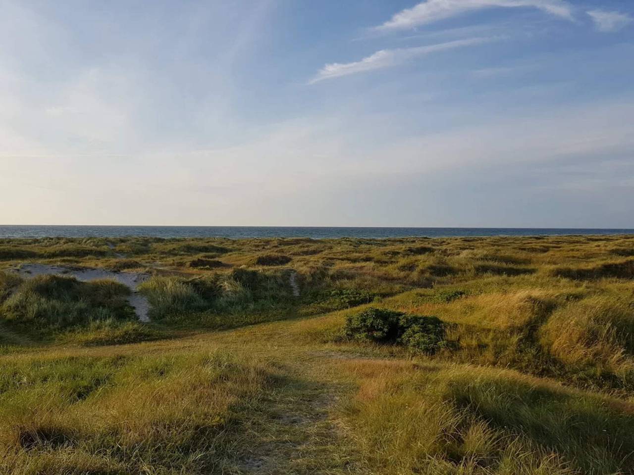 Strandoase in Grena in Grenå Strand, Grenaa