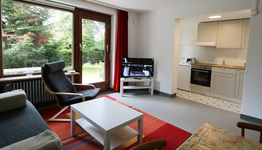 Appartement voor 4 personen, met tuin en terras in Feldberg