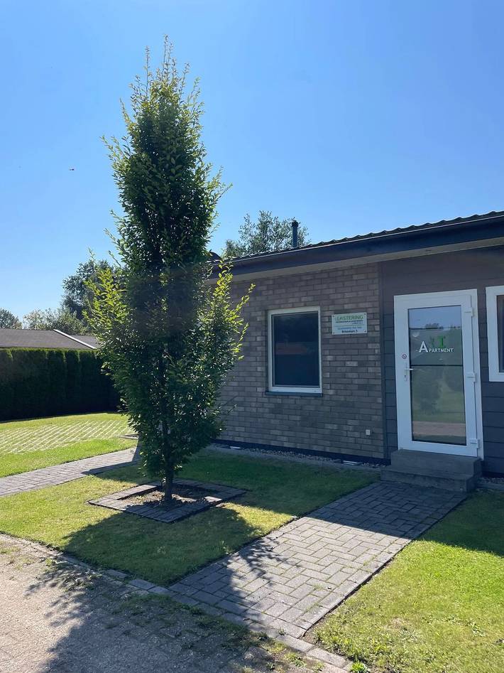 Ferienwohnung für 4 Personen, mit Garten, mit Haustier in Wettringen - 3