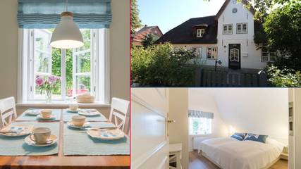 Ferienhaus für 4 Personen, mit Garten, mit Haustier in Oevenum