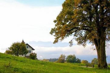 Barn for 3 Guests in Chardonne, Lake Geneva, Picture 4