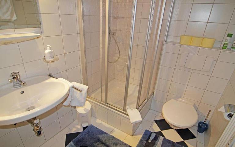 Ganze Ferienwohnung, Appartement am Kurpark in Bad Mitterndorf, Dachstein