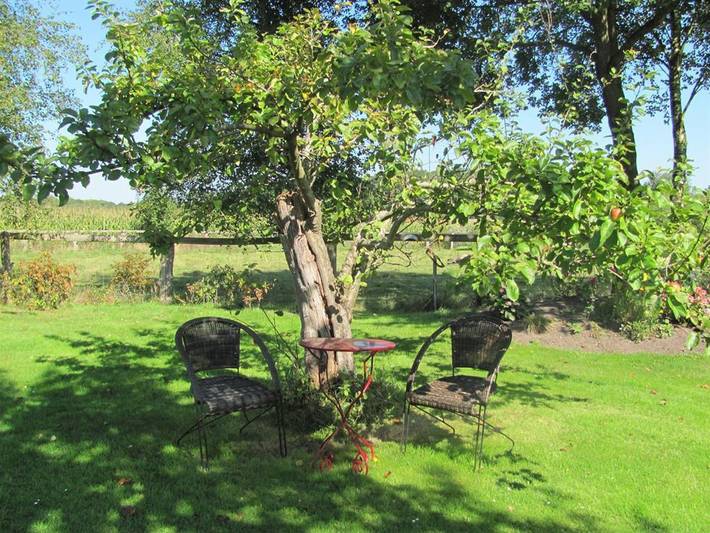Ferienwohnung für 2 Personen, mit Terrasse und Garten in Westerstede - 3