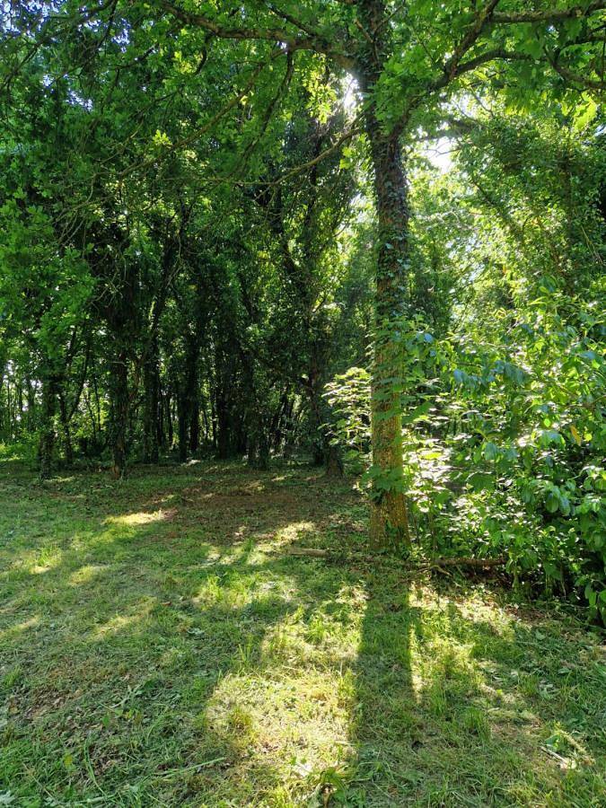 Chambre d’hôte pour 7 personnes, avec piscine ainsi que jardin et vue, animaux acceptés à Pléneuf-Val-André - 3