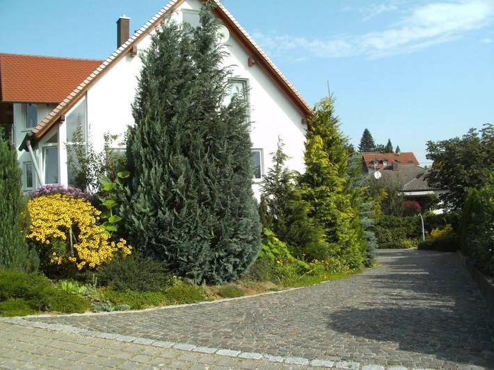 Gîte pour 3 personnes, avec terrasse, animaux acceptés à Burgau - 3