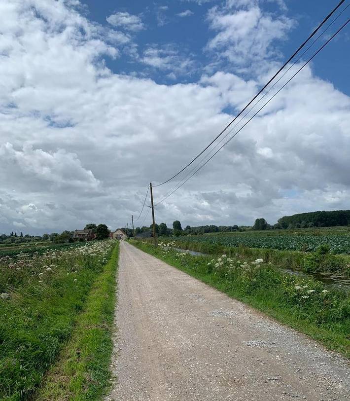 Location de vacances pour 14 personnes, avec vue et terrasse, animaux acceptés dans Marais des Moines - 2