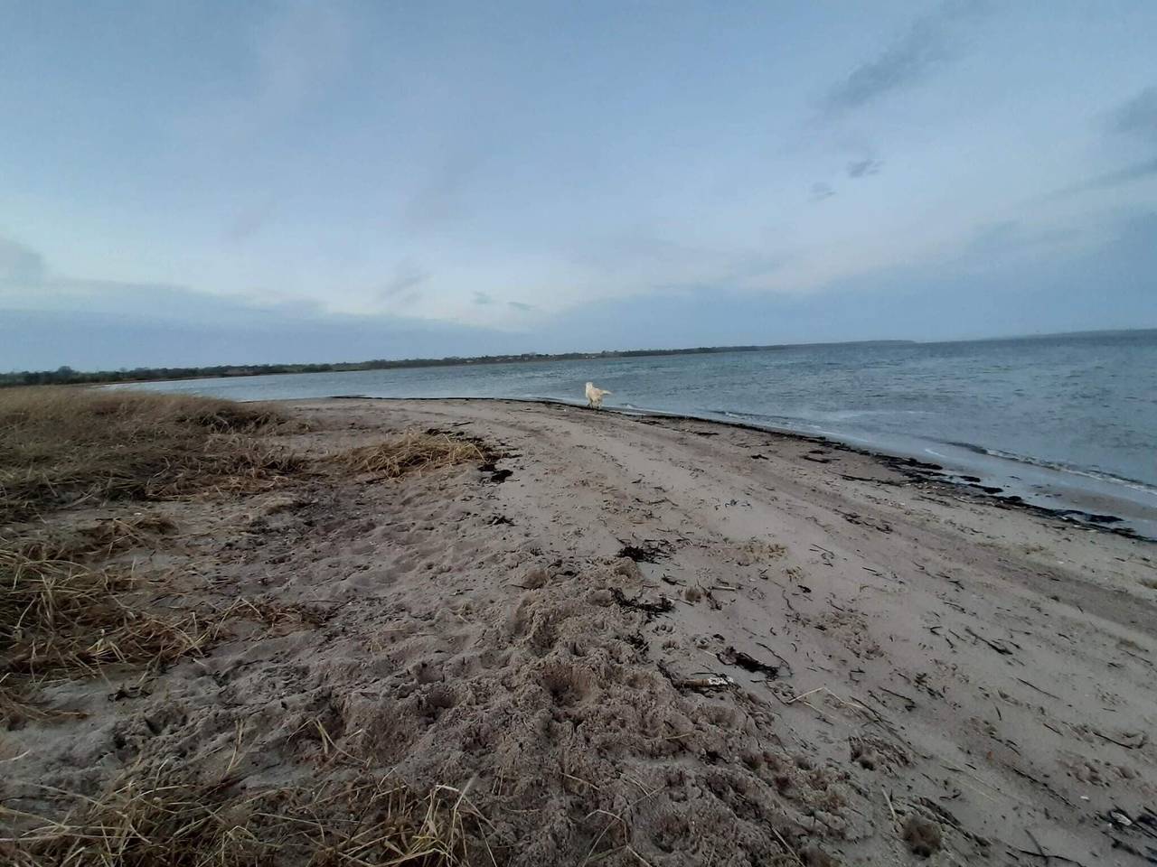 24 Personen Ferienhaus in Øster Assels in Morsø, Limfjord in Nordjütland