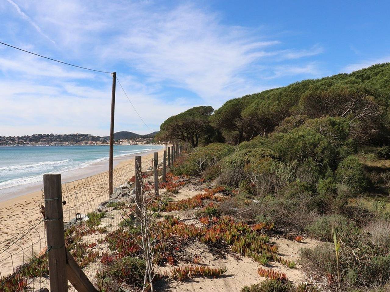 Seaside Villa in Pine Grove with 4 A/C Bedrooms and Direct Beach Access in Cavalaire-sur-Mer, Parc national Port-Cros