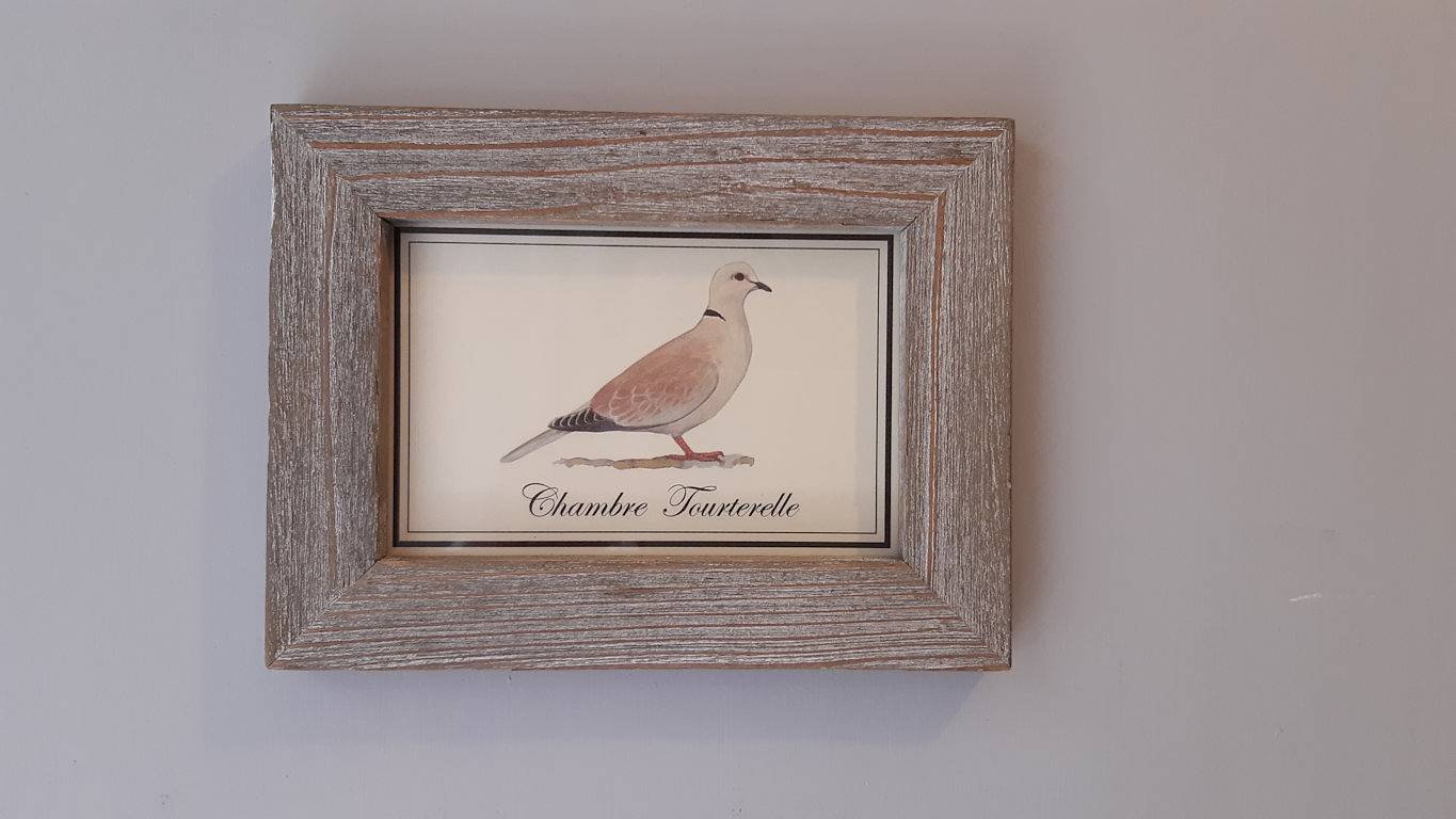 "Le Cher Passant" - Chambre Tourterelle - Chambre "Tourterelle" in Savonnières, Région de Tours
