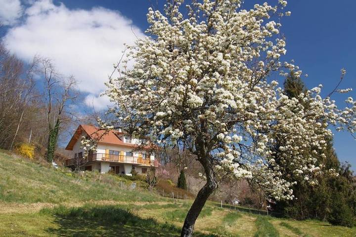 Gîte pour 4 personnes, avec Terrasse ainsi que Jardin et Vue à Paladru