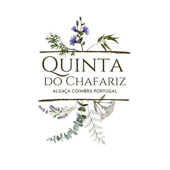 Apartamento inteiro, Quarto 'Quartinho Do Chafariz' com Vista para a Montanha, Wi-Fi e Ar Condicionado in Arrifana (Vila Nova de Poiares), Distrito de Coimbra
