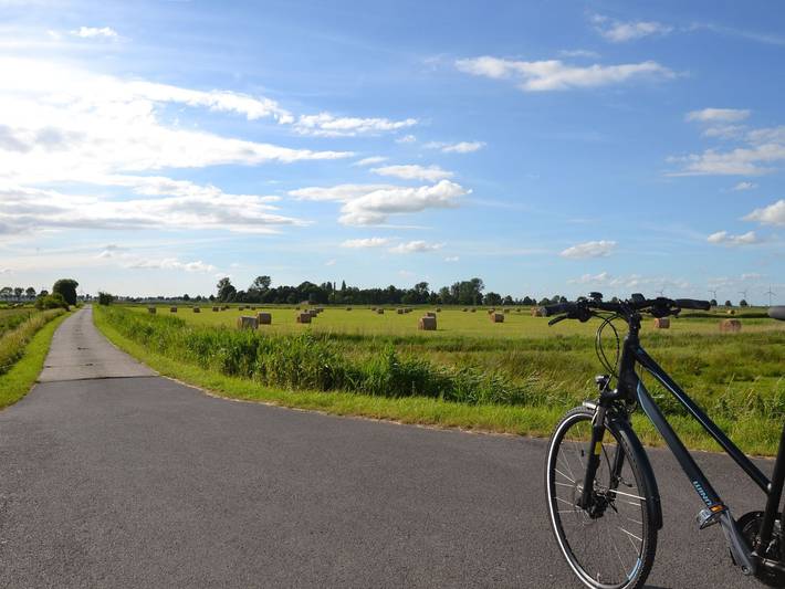 Ferienwohnung für 5 Personen, mit Garten und Terrasse in Weener - 4