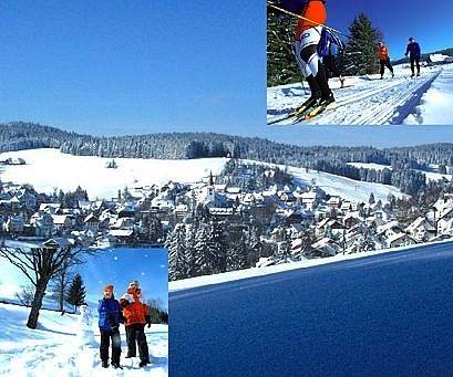 Ferienwohnung für 4 Personen, mit Balkon und Sauna sowie Balkon/Terrasse in Schonach im Schwarzwald - 4
