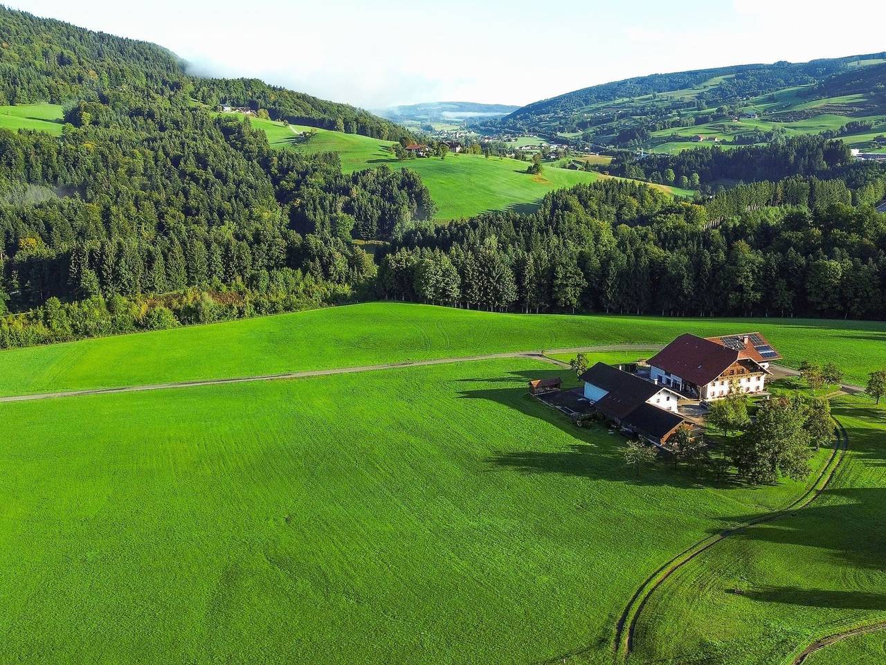 Ganze Ferienwohnung, Das Hinterwald - Ferienwohnung Heidi in Innerschwand am Mondsee, Mondsee & Irrsee