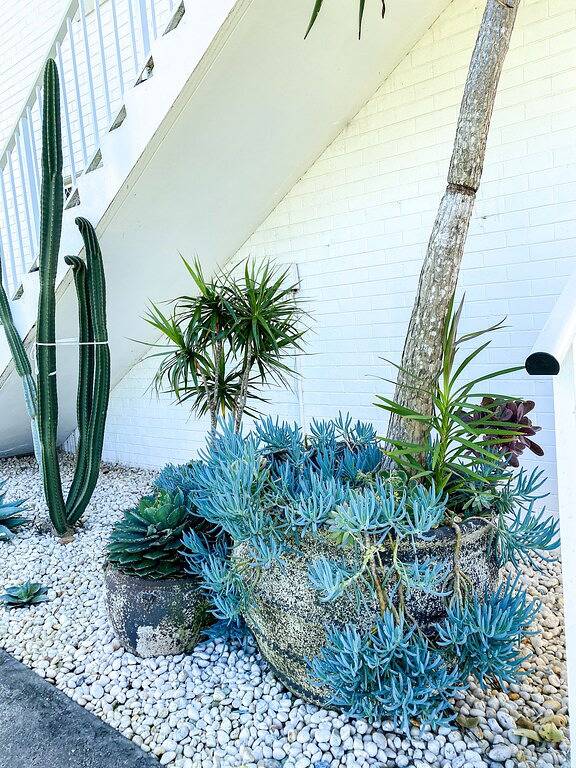 Ganze Wohnung, Salz am Meer - Einheit 6 in Port Macquarie, New South Wales