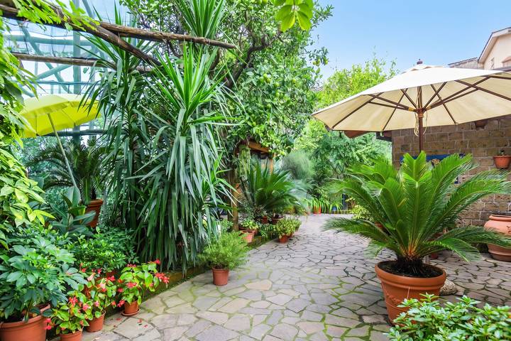 Holiday rental for 3 people, with Terrace and Garden in Sorrento