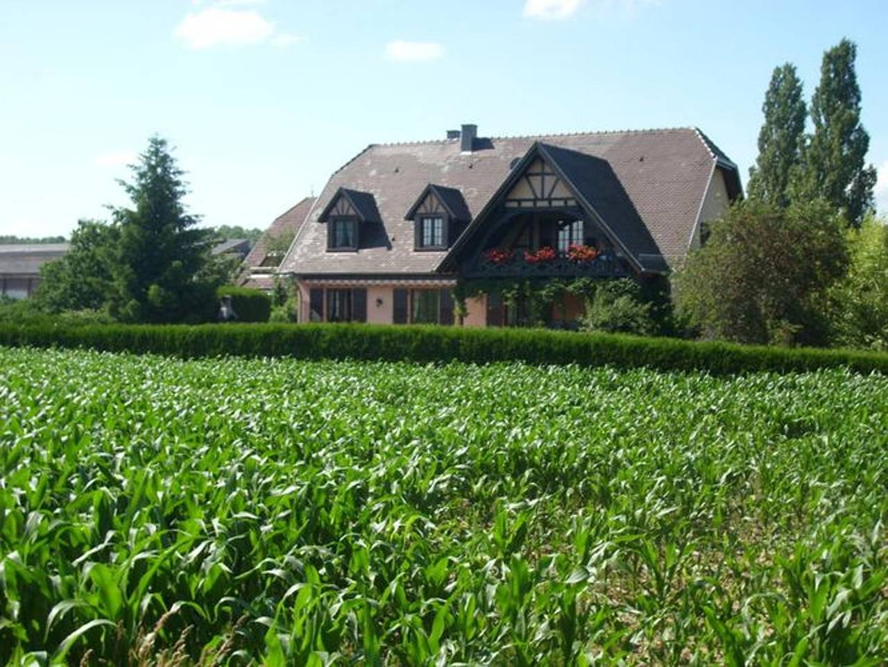 Apartamento entero, Apartamento encantador en Hochfelden - 100 m² y aparcamiento gratuito in Hochfelden, Región de Estrasburgo