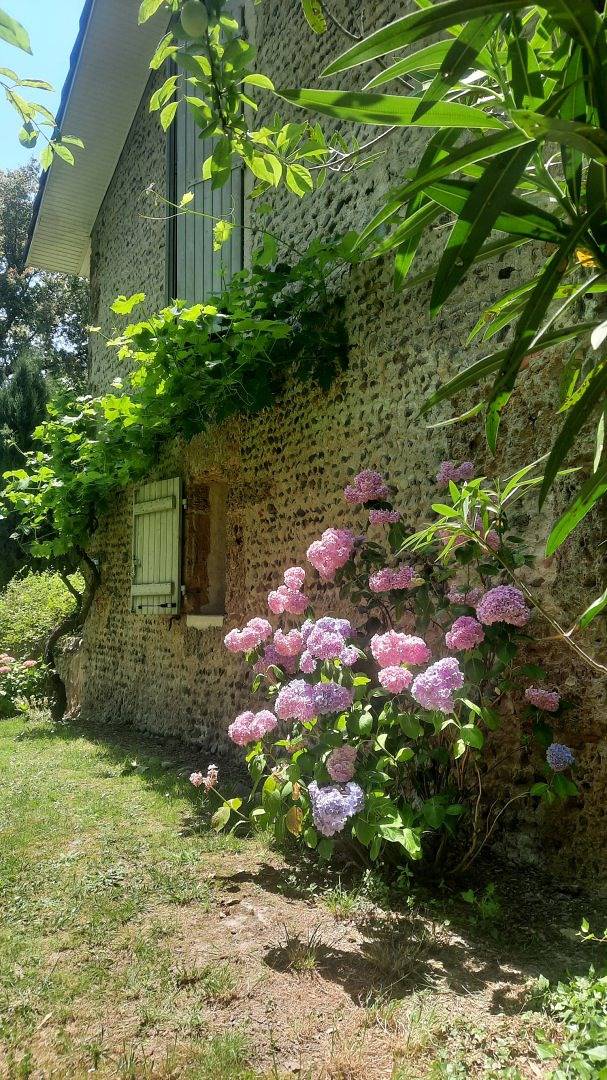 Chambre d’hôte pour 3 personnes, avec jardin et jacuzzi dans les Landes - 2