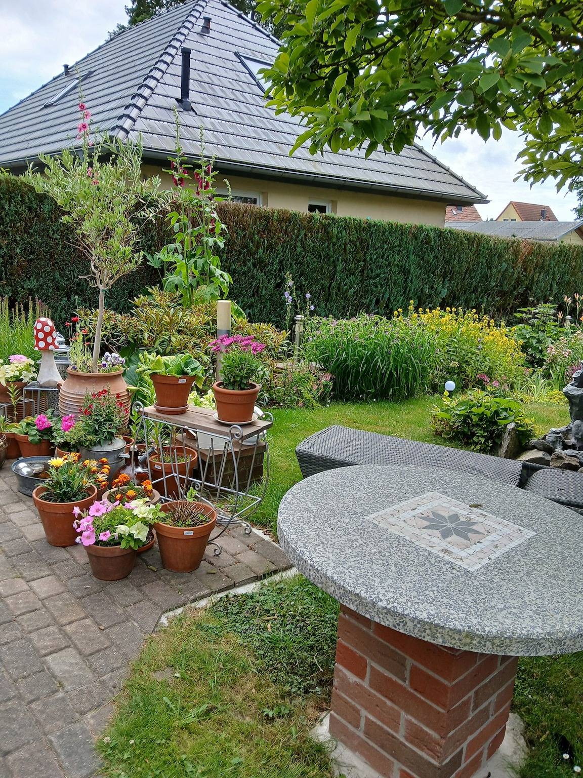Bungalow voor 2 personen met terras, foto 11