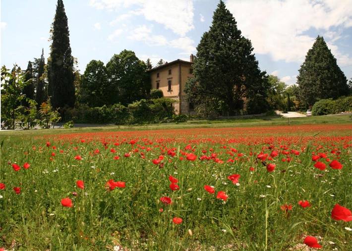 B&b per 3 persone, con giardino e panorama ad Assisi