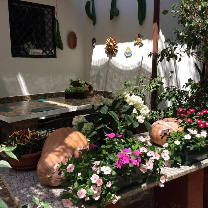 B&b per 2 persone, con giardino e terrazza in Zambrone
