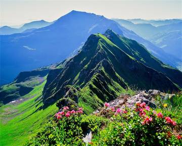 Bauernhof für 5 Personen in Inneralpbach, Alpbach, Bild 2