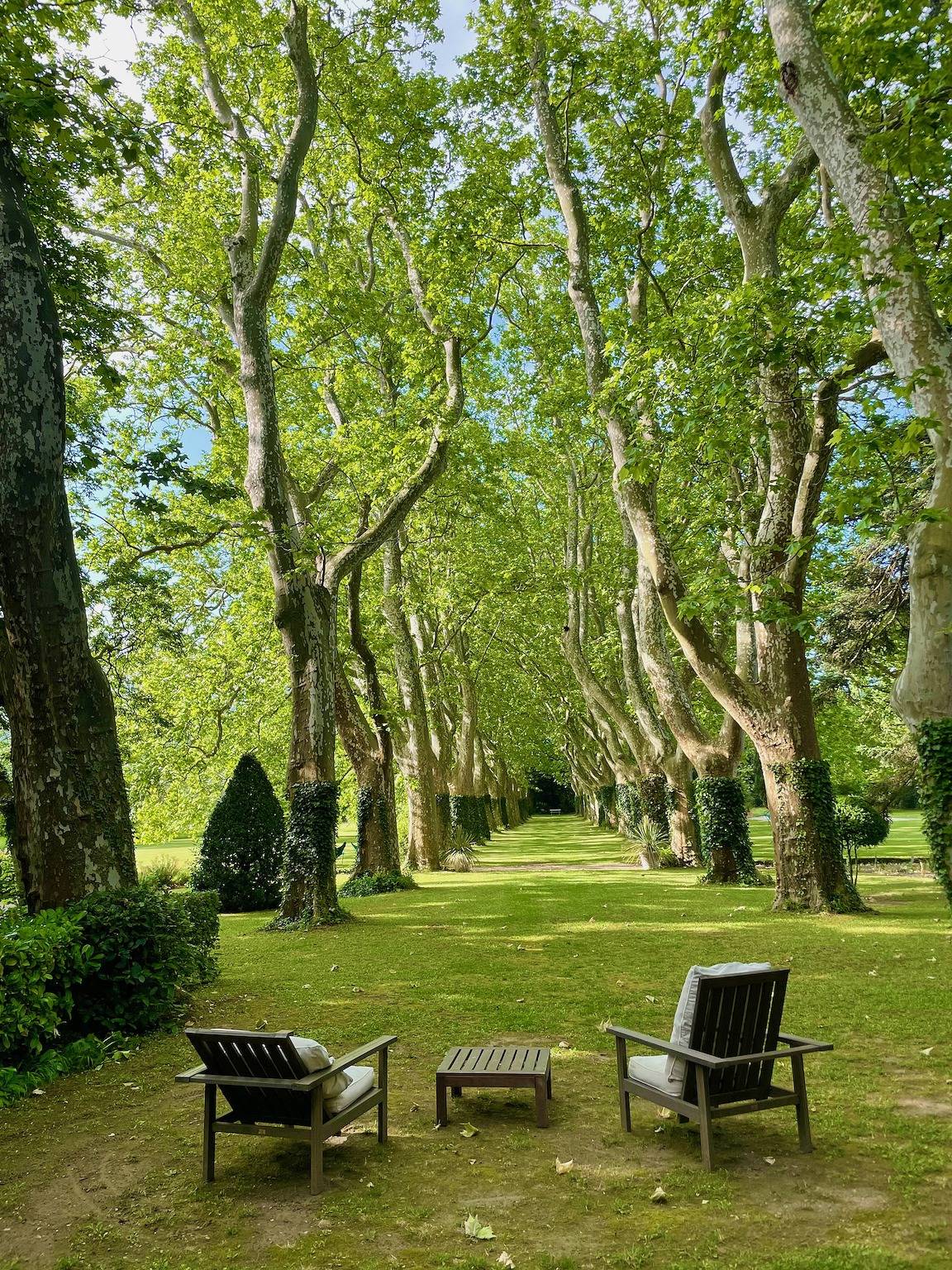 Appartement entier, La Suite de la Bastide in Montlaur (Languedoc-Roussillon), Région de Limoux