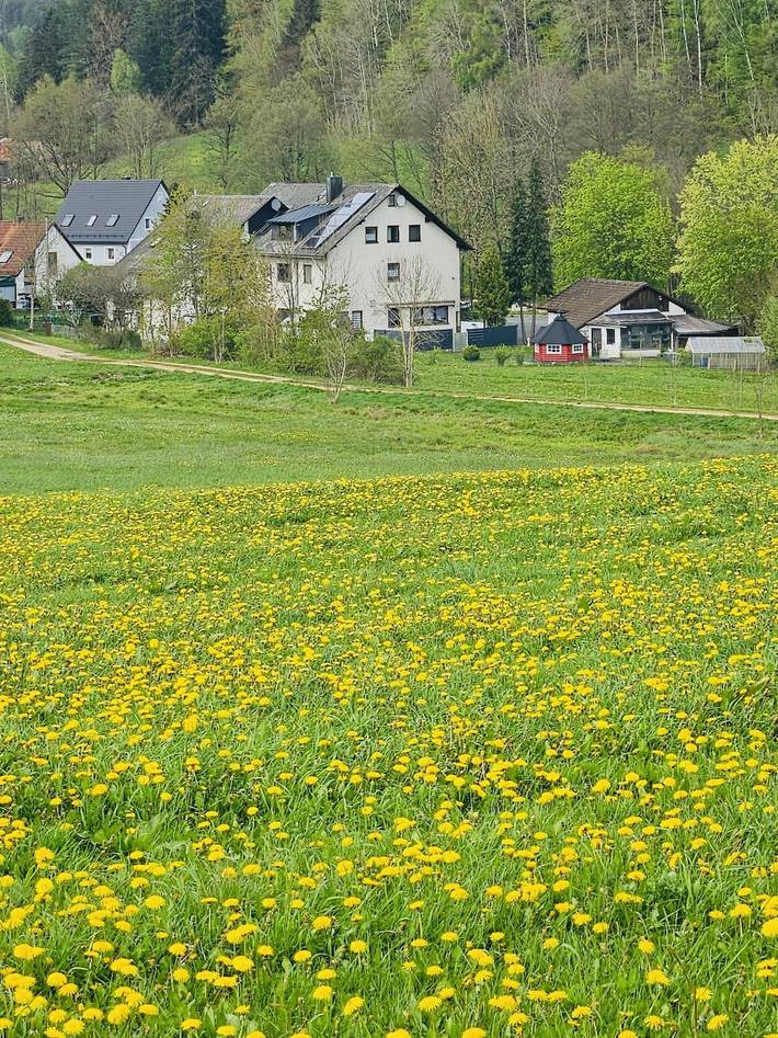 Hotel für 2 Personen, mit Balkon und Balkon/Terrasse, kinderfreundlich - 1