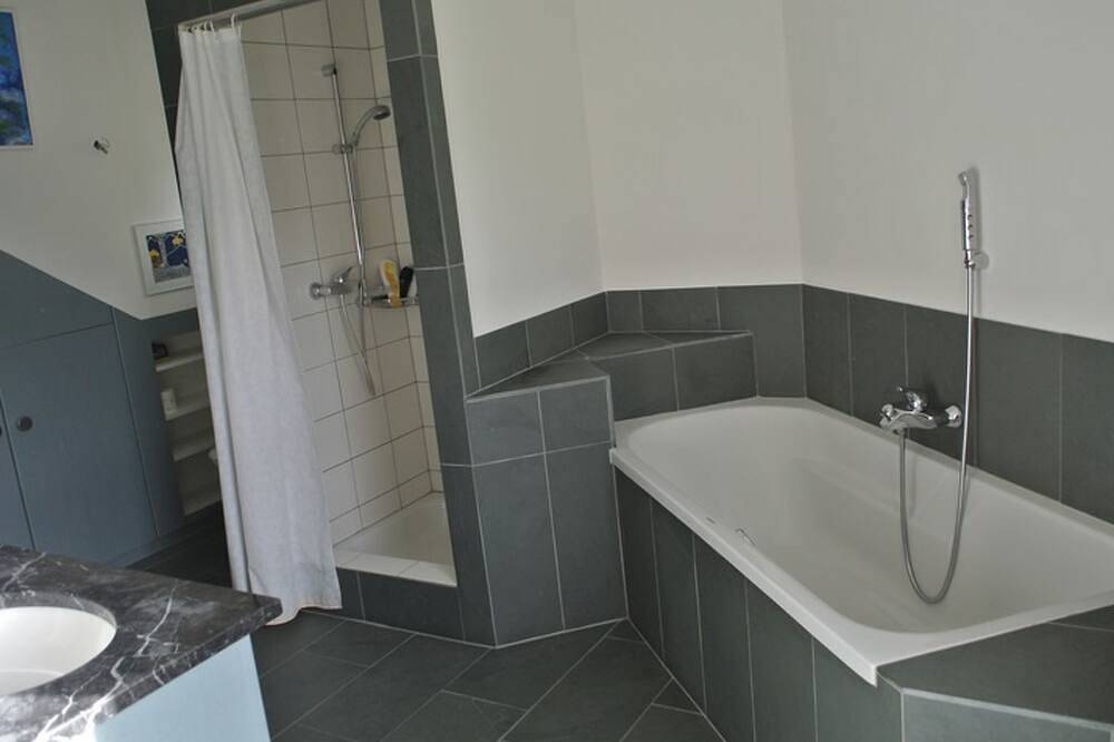 Ganze Wohnung, Principala 5 Zeller, Andiast, (Andiast), 59001B in Andiast, Alpenarena