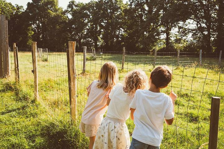 Gîte pour 14 personnes, avec jardin et terrasse, animaux acceptés en Vendée - 3
