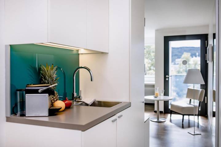 Hotel für 2 Personen, mit Garten, mit Haustier in Zürich - 3