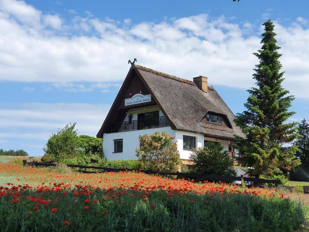 Pension Petersen in Bergen auf Rügen, Bergen auf Rügen und Umgebung