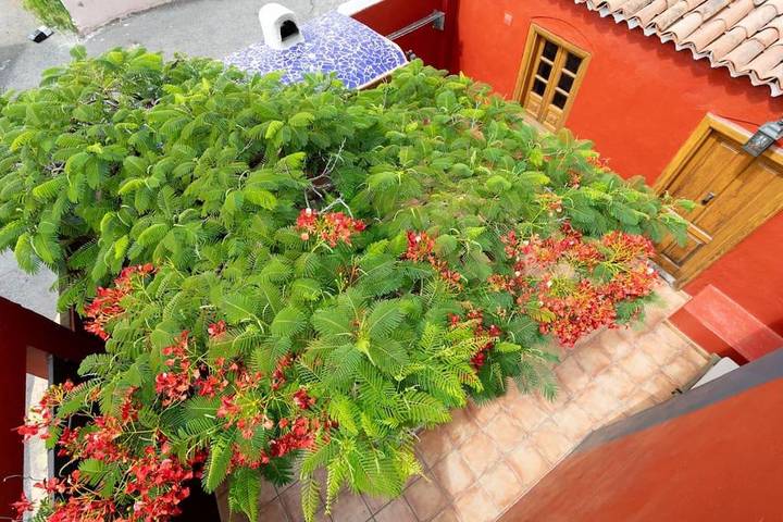 Casa de vacaciones para 3 personas, con jardín en Santa Cruz de Tenerife - 4