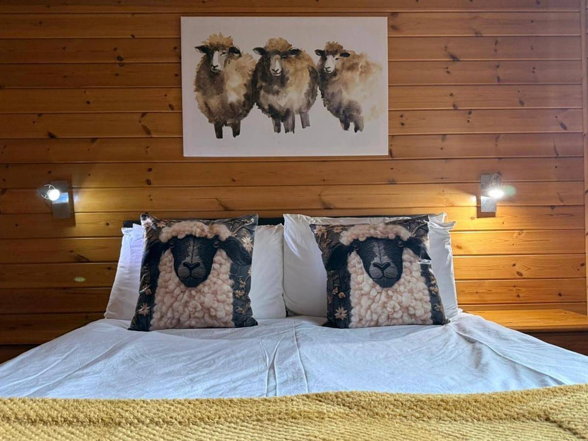 Lodge 1 (Standard) - Sleeps 4, Pet Friendly (No Hot Tub) in Stirling region
