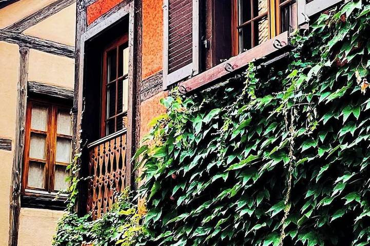Location de vacances pour 6 personnes à Riquewihr