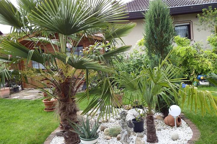 Ferienwohnung für 3 Personen, mit Pool in Neustadt an der Weinstraße