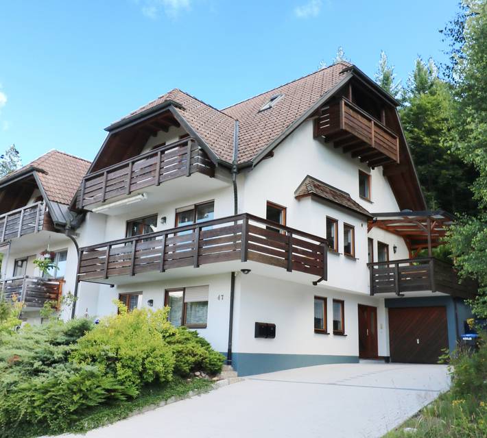 Ferienhaus für 12 Personen, mit Balkon und Terrasse sowie Garten und Sauna in Hinterzarten