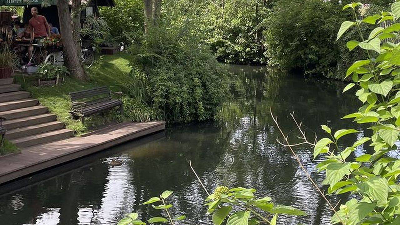 Apartamento vacacional entero, Ferienwohnung für 4 Personen (60 m²) in Lübben (Spreewald) in Lübben, Dahme - Spreewald region