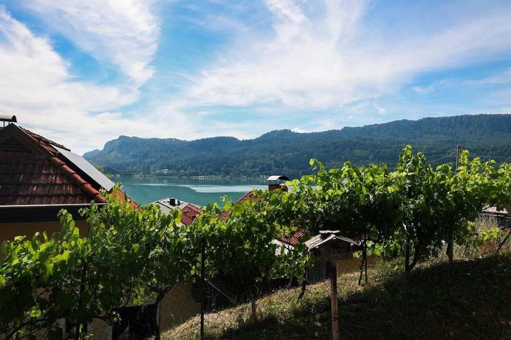 Ferienwohnung für 3 Personen, mit Terrasse und Garten sowie Seeblick und Ausblick in Keutschach am See